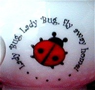 Lady Bug Tea set