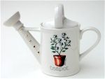 Watering Can  Teapot